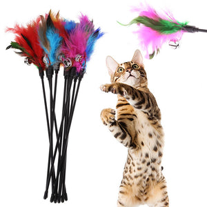 5 piece cat soft coloful feather toys