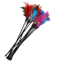 Load image into Gallery viewer, 5 piece cat soft coloful feather toys