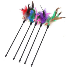 Load image into Gallery viewer, 5 piece cat soft coloful feather toys